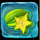 Juiced DuoMax Symbol Star